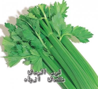  (Celery)   Apium graveolens (Umbellifera)   