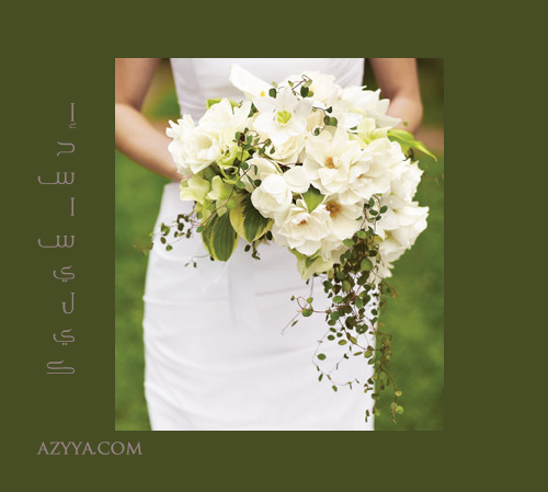 رنتا 2013فساتين زفاف ريم عكرا2014نصائح لإستعدادات العروس قبل ليلة الزفاففوط