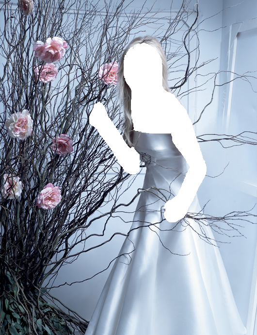 زفاف إيلي صعب Pronovias لعام 2013فساتين التريكو لشتاء عام 2013فساتين