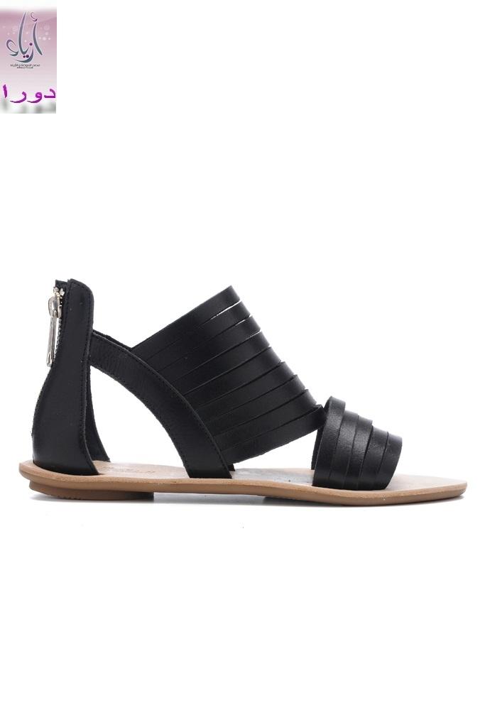 2012 - 2013    2012 - 2013 