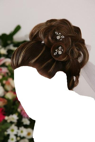 للعروساحدث الحقائب مجموعة جميلةصور مكياج وتسريحات شعر للعروس 2013تسريحات للعروس