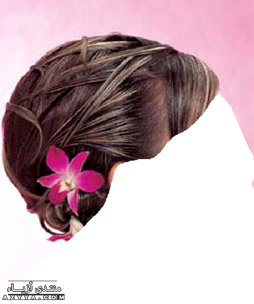 2013 ���� ������� ���� 2013 - ���� ������ ������� 2013