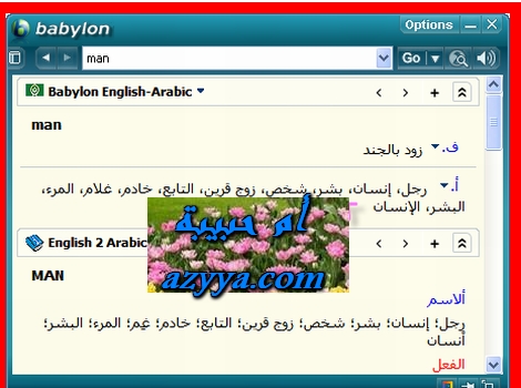 world's leading dictionary and ******** translation software. Babylon offers you