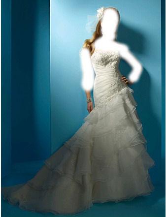    Alfred Angelo  2011 