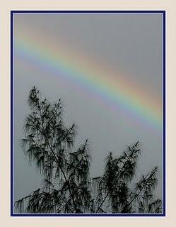 "  -   \/ Rainbow   \/
