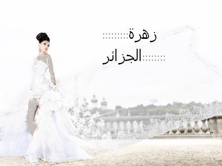 الزفاف في صيف 2014احدث التصاميم لفساتين الزفافديزاين جديد لفساتين الزفافصور