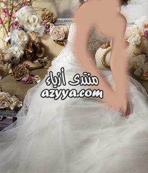 لشتاء 2013فساتين زفاف للعروس الرومانسيةفساتين زفاف جديده 2014فساتين زفاف صور