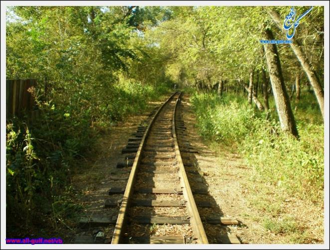 تظهر جمالك صور لسك قطارات حديدية قديمة شكلت صورا طبيعية