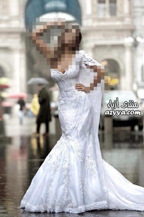 فساتين و أزياء أنيقةفساتين زفاف رامى سلمون ... شياكة تفوق
