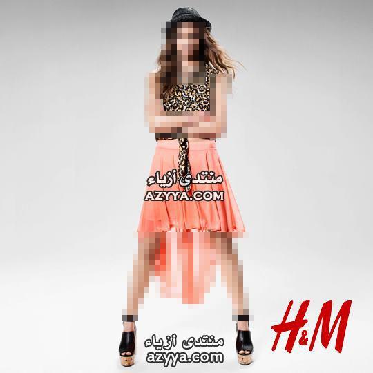      H and M 2013 